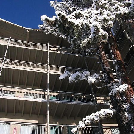 Pepper Tree Inn Tahoe City Luaran gambar