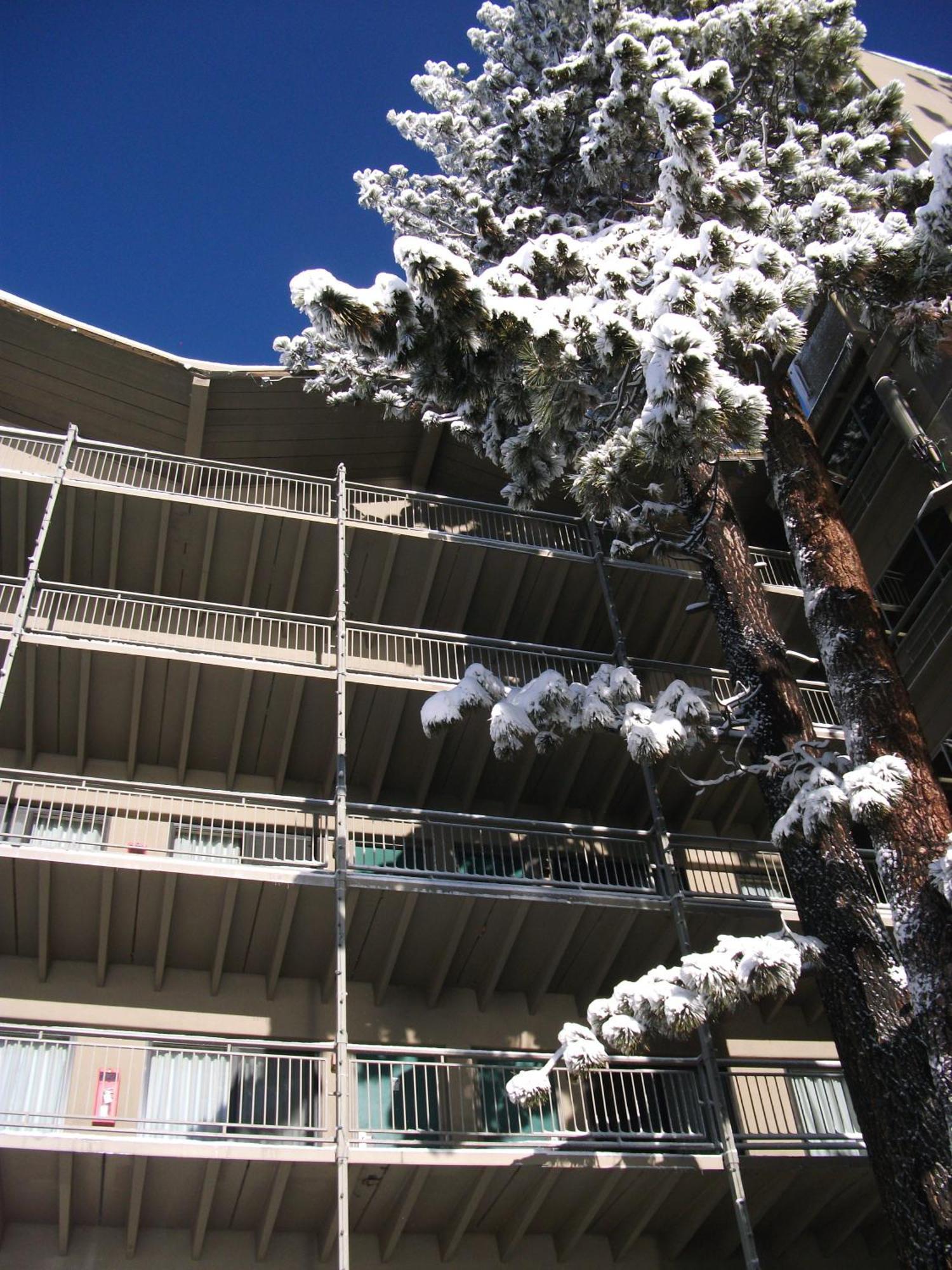 Pepper Tree Inn Tahoe City Luaran gambar