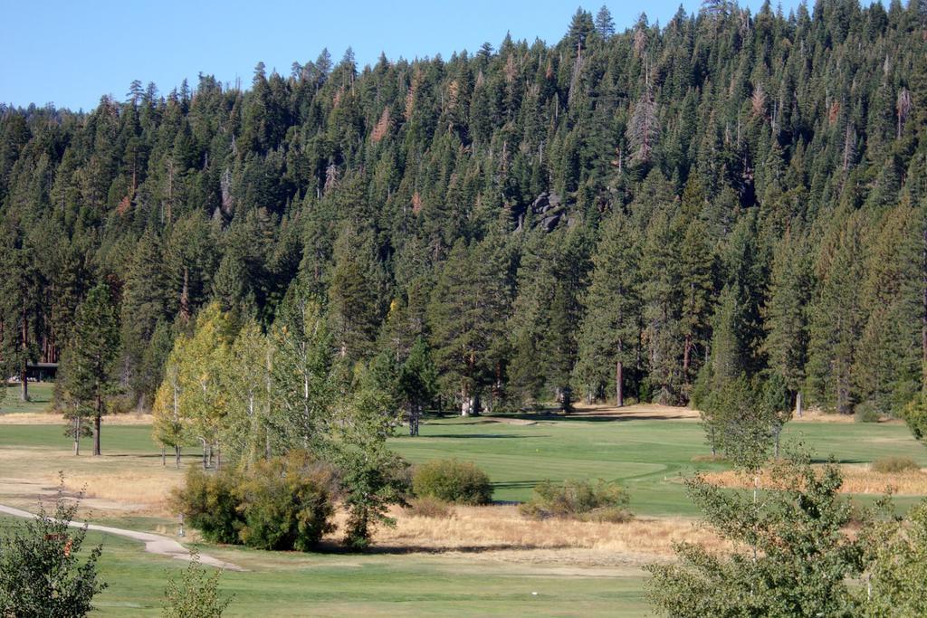 Pepper Tree Inn Tahoe City Luaran gambar