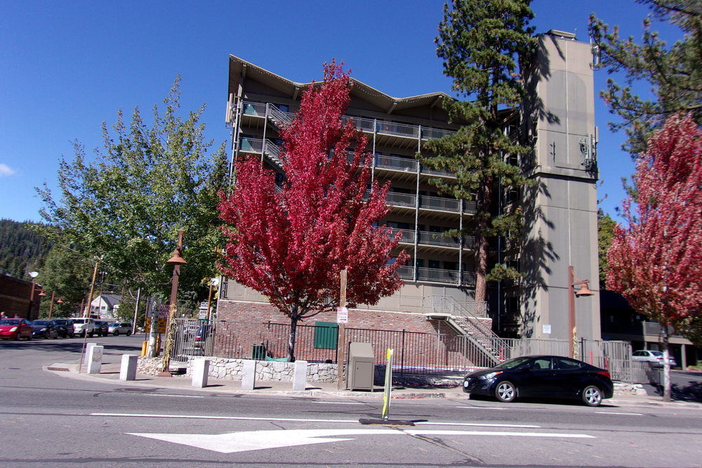 Pepper Tree Inn Tahoe City Luaran gambar